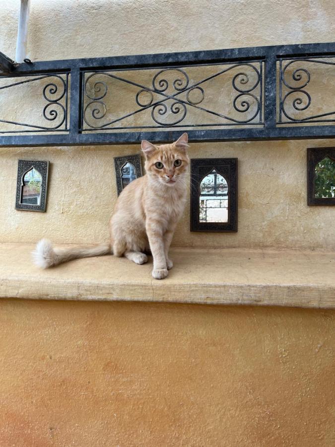 Riad Al Ibtikar Marrákes Kültér fotó